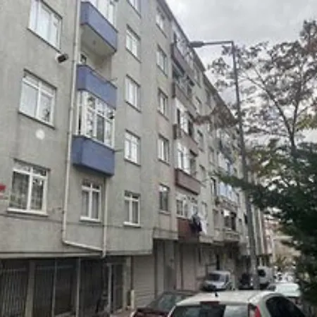 Zula House