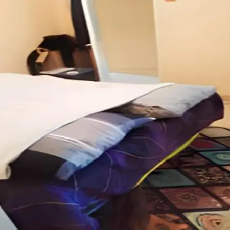 Appartement Zula House İzmir